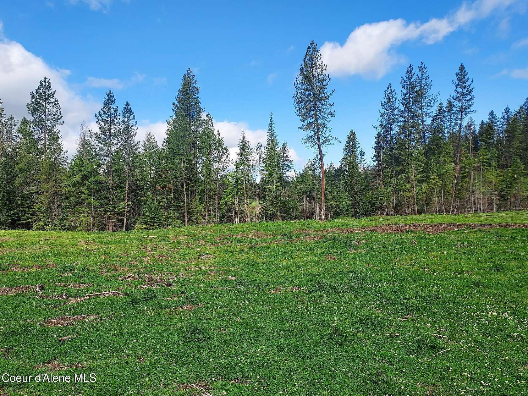 19.5 Acres of Recreational Land for Sale in Coeur d'Alene, Idaho