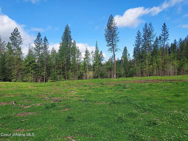 19.5 Acres of Recreational Land for Sale in Coeur d'Alene, Idaho