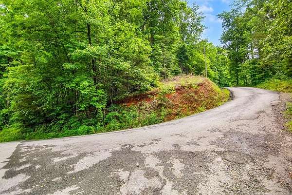 5.58 Acres of Land for Sale in Ellijay, Georgia