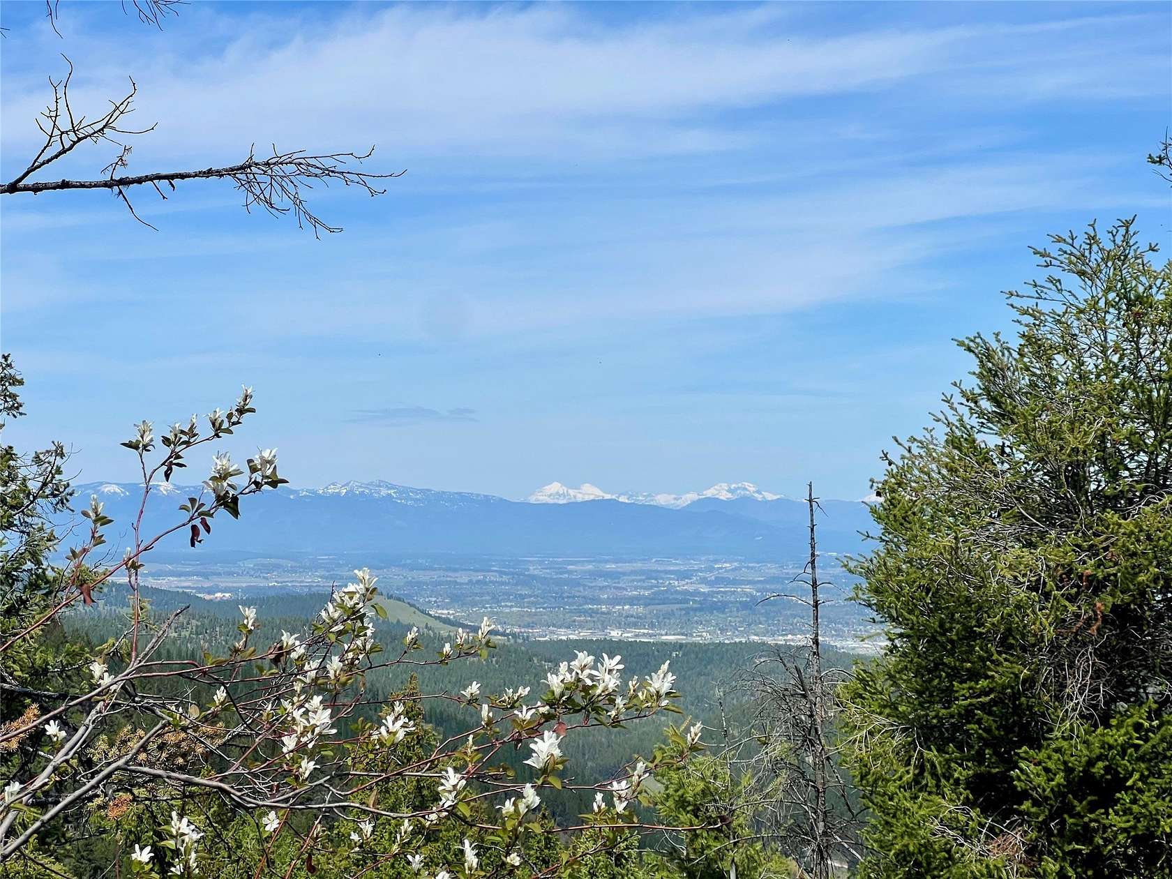 40 Acres of Land for Sale in Kalispell, Montana