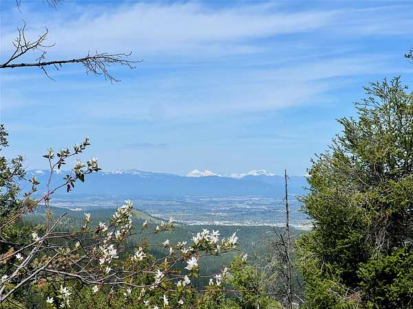 40 Acres of Land for Sale in Kalispell, Montana