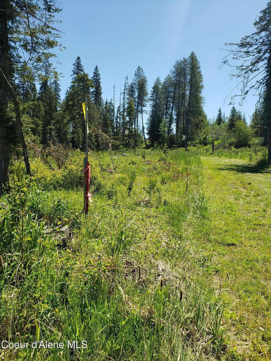1.17 Acres of Land for Sale in Fernwood, Idaho