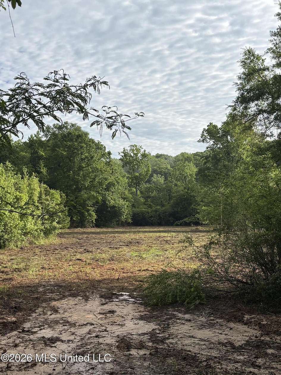 31 Acres of Recreational Land for Sale in Camden, Mississippi