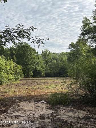 31 Acres of Recreational Land for Sale in Camden, Mississippi