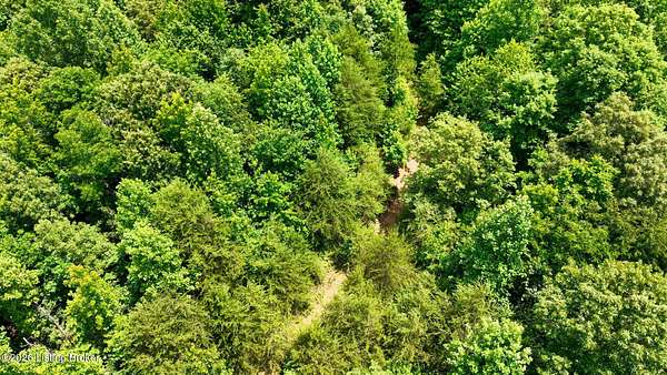 25 Acres of Land for Sale in Drakesboro, Kentucky
