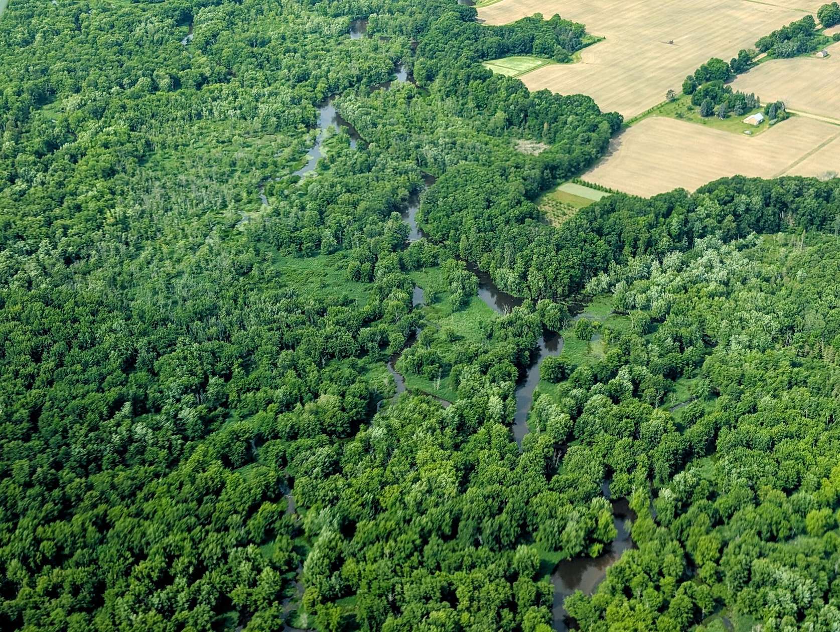 319 Acres of Recreational Land for Sale in Ludington, Michigan