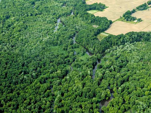 319 Acres of Recreational Land for Sale in Ludington, Michigan