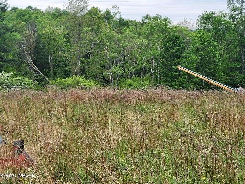 10 Acres of Land for Sale in Forksville, Pennsylvania