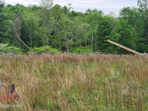 10 Acres of Land for Sale in Forksville, Pennsylvania