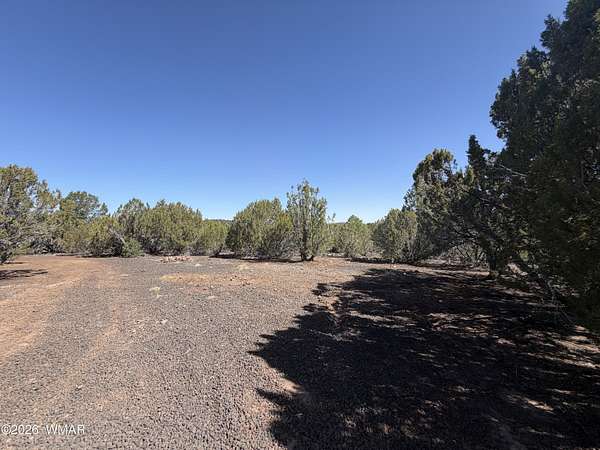 1.16 Acres of Residential Land for Sale in Vernon, Arizona