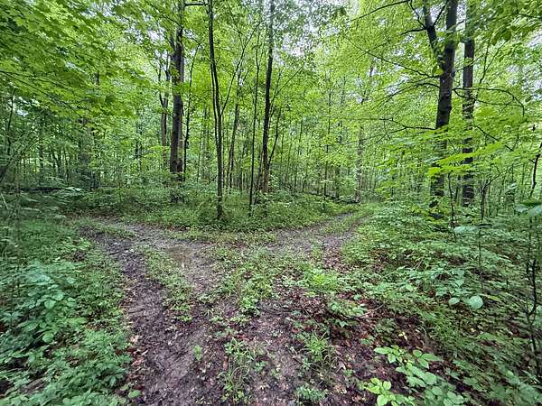 49.8 Acres of Recreational Land for Sale in Union City, Indiana