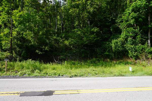 0.35 Acres of Land for Sale in Gilbert, West Virginia