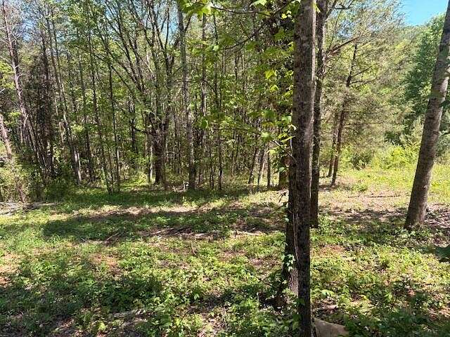 2.67 Acres of Land for Sale in Niota, Tennessee