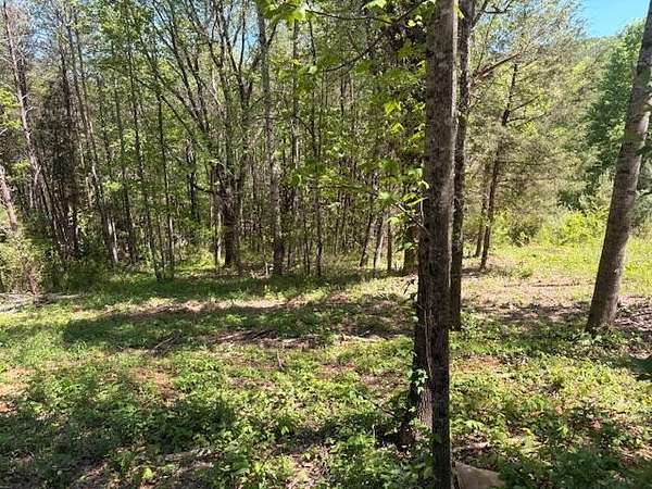 2.67 Acres of Land for Sale in Niota, Tennessee