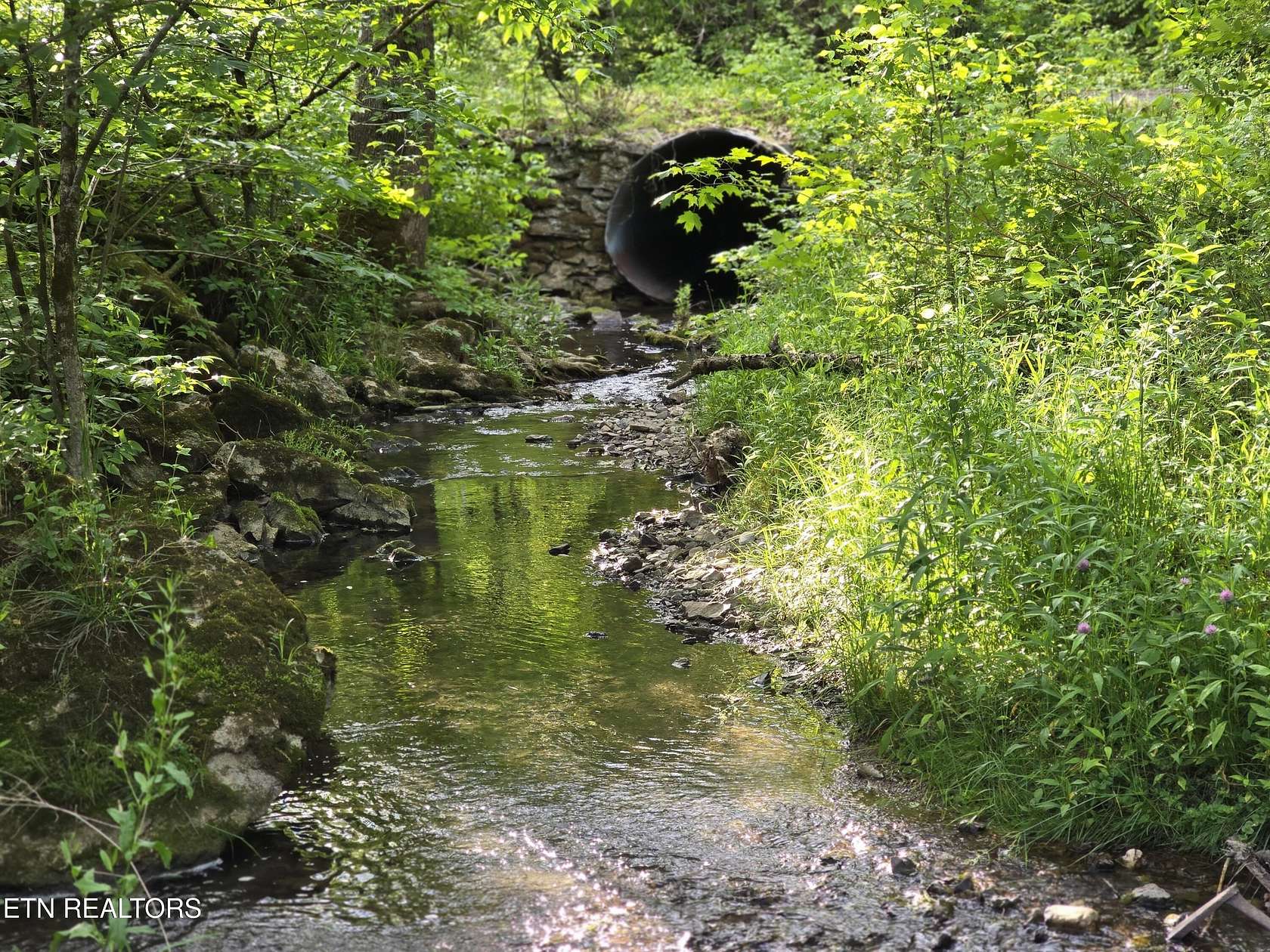 60.8 Acres of Recreational Land for Sale in Sneedville, Tennessee