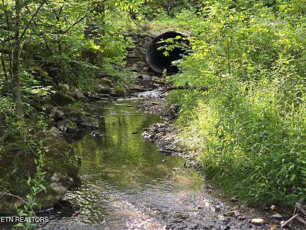 60.8 Acres of Recreational Land for Sale in Sneedville, Tennessee