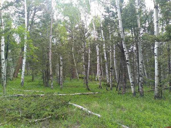 1 Acre of Land for Sale in Cimarron, Colorado