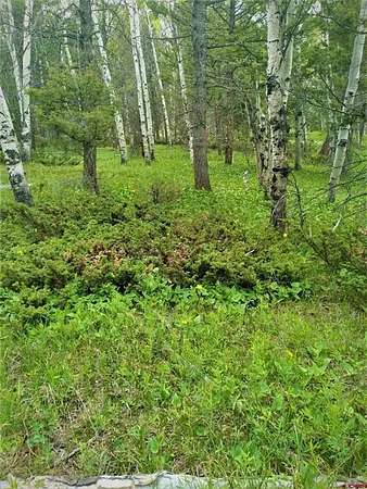 1 Acre of Land for Sale in Cimarron, Colorado