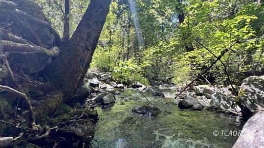 10 Acres of Recreational & Residential Land for Sale in Weaverville, California
