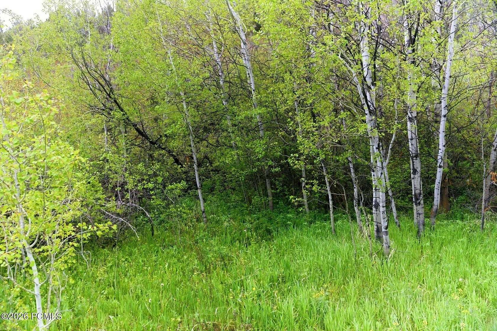 0.88 Acres of Land for Sale in Kamas, Utah
