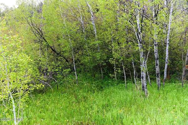 0.88 Acres of Land for Sale in Kamas, Utah
