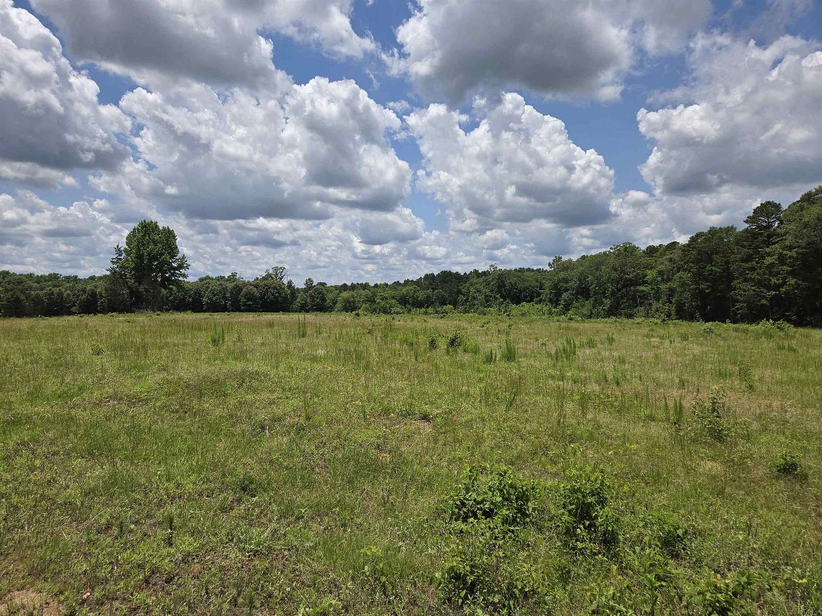 35.5 Acres of Recreational Land for Sale in Gilmer, Texas