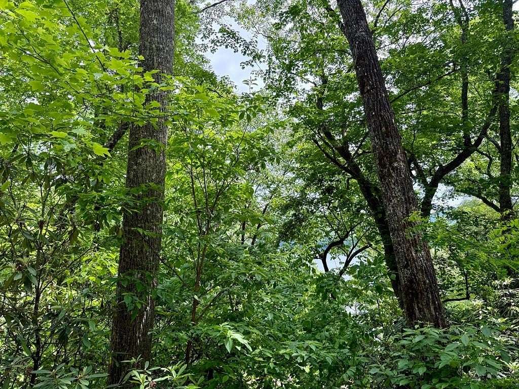 0.92 Acres of Residential Land for Sale in Cashiers, North Carolina