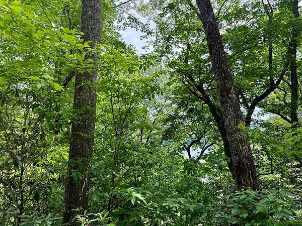 0.92 Acres of Residential Land for Sale in Cashiers, North Carolina