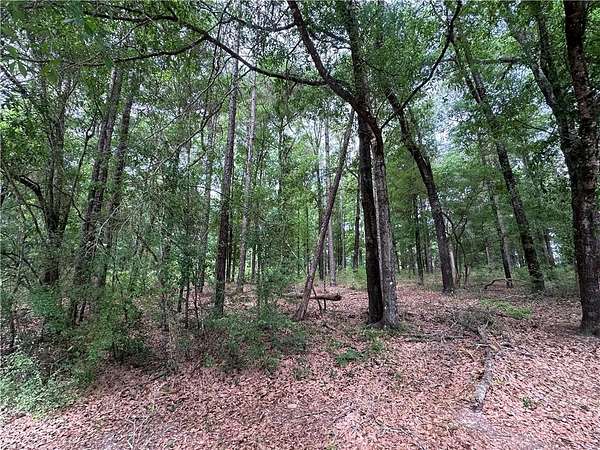 2.41 Acres of Residential Land for Sale in Saraland, Alabama