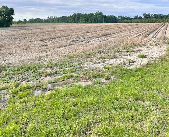 11.8 Acres of Agricultural Land for Sale in Brooklet, Georgia