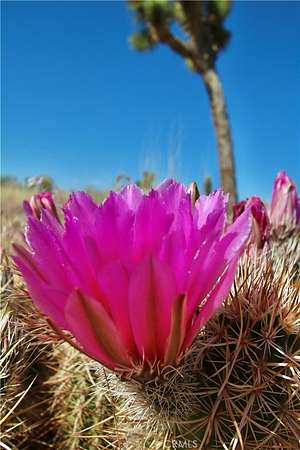 5.14 Acres of Land for Sale in Yucca Valley, California