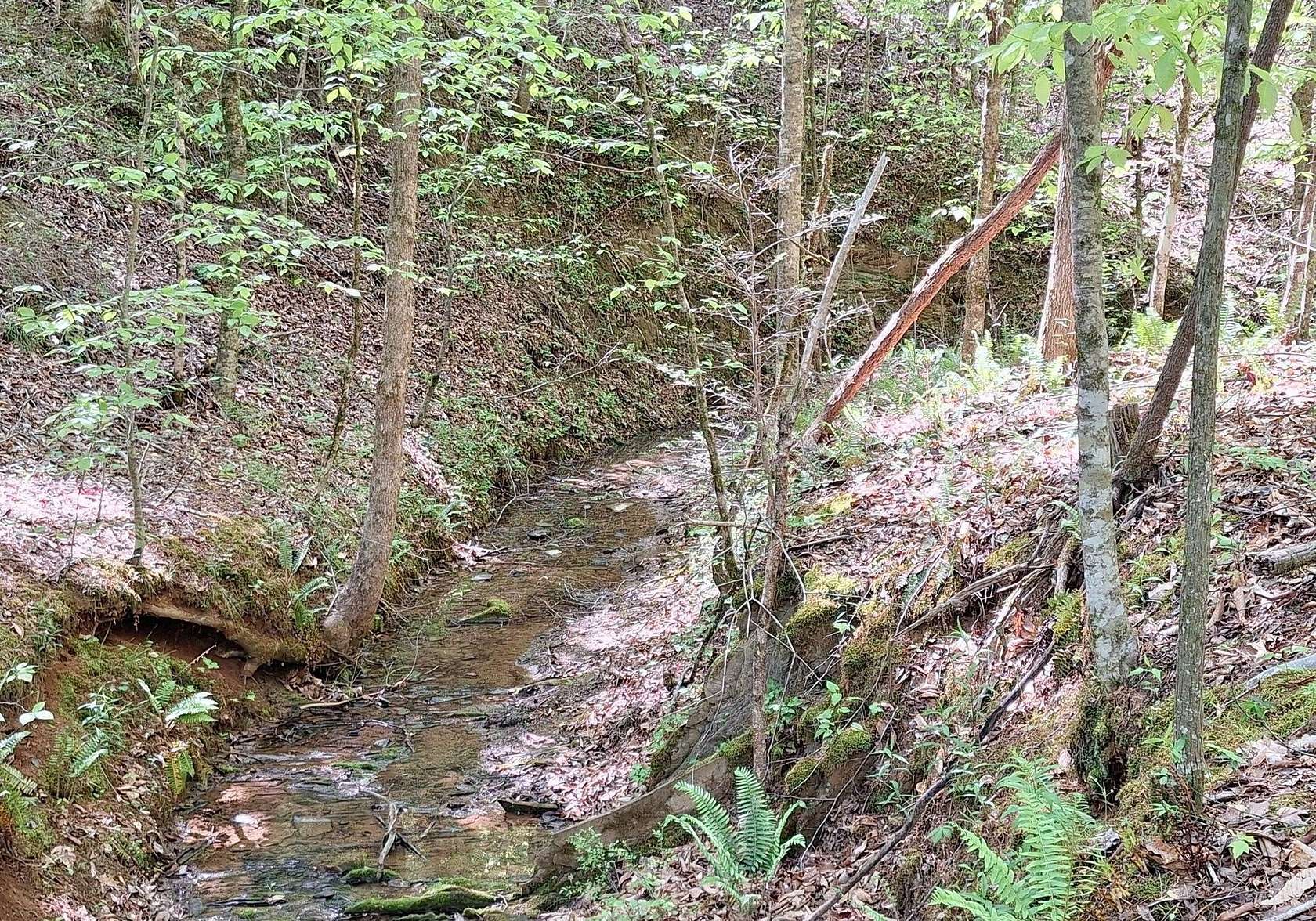 5.29 Acres of Residential Land for Sale in Tellico Plains, Tennessee