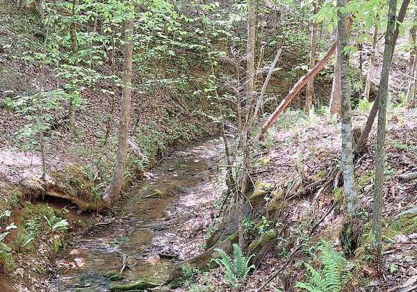 5.29 Acres of Residential Land for Sale in Tellico Plains, Tennessee