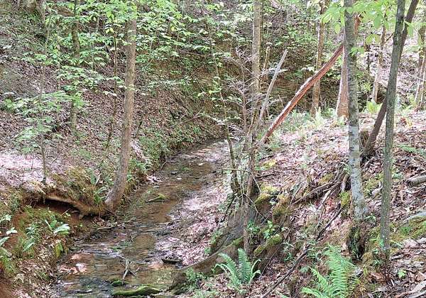 5.29 Acres of Residential Land for Sale in Tellico Plains, Tennessee