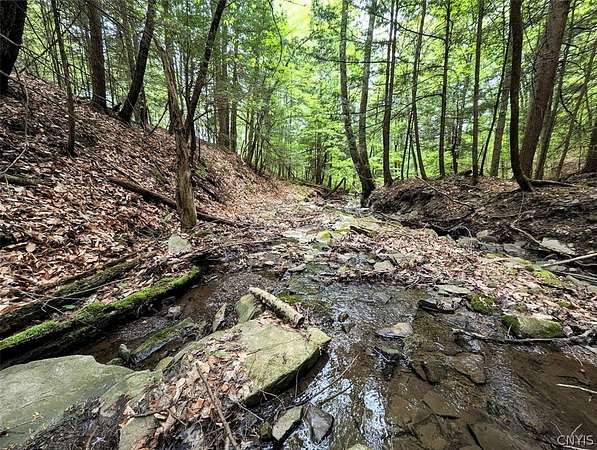 5 Acres of Residential Land for Sale in Addison, New York
