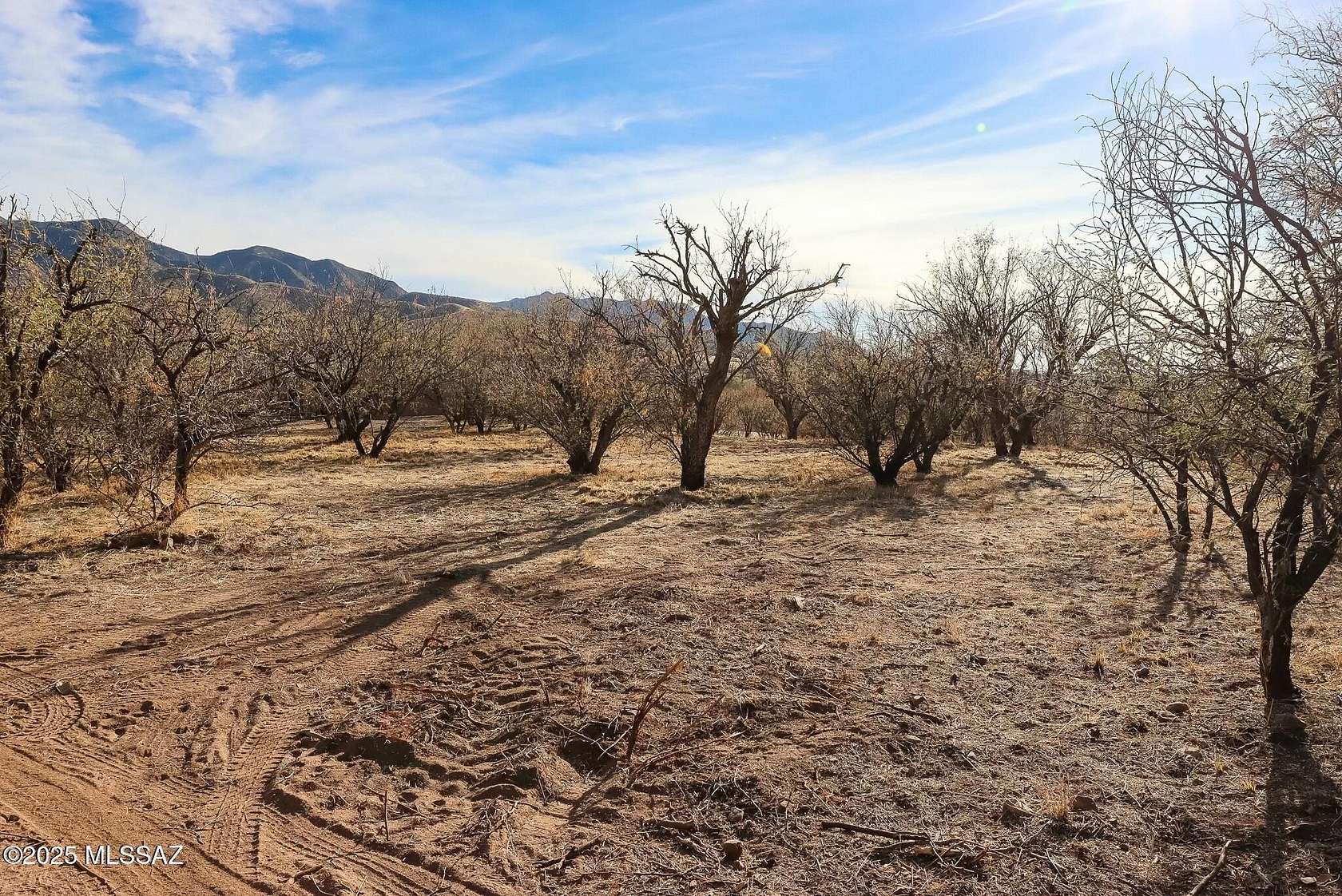 0.73 Acres of Residential Land for Sale in Patagonia, Arizona