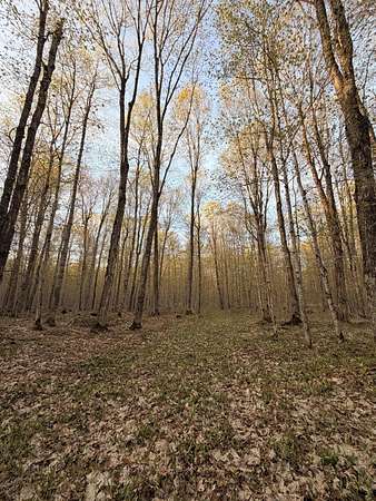 20 Acres of Recreational Land for Sale in Paradise, Michigan