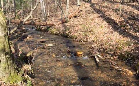 20.5 Acres of Recreational Land for Sale in Suches, Georgia