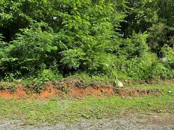 1 Acre of Land for Sale in Ellijay, Georgia