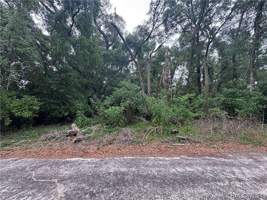 0.19 Acres of Residential Land for Sale in Inverness, Florida