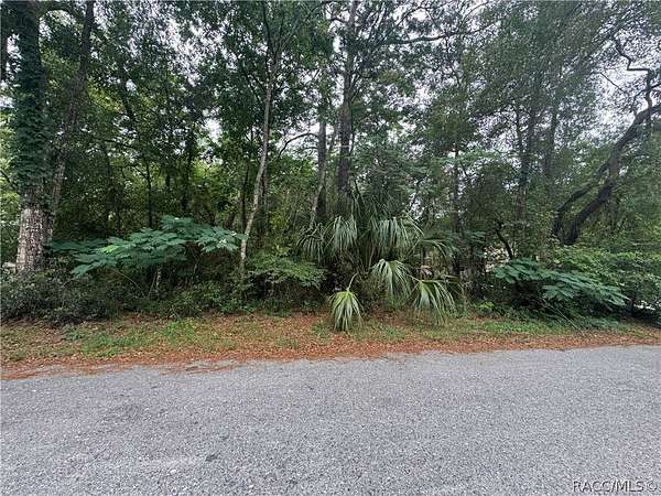 0.22 Acres of Residential Land for Sale in Inverness, Florida