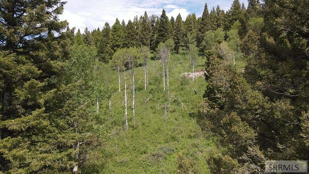 3.64 Acres of Residential Land for Sale in Island Park, Idaho