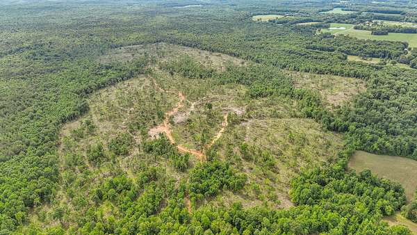270 Acres of Land for Auction in Big Sandy, Tennessee