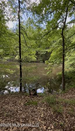 10.7 Acres of Land for Sale in Hernando, Mississippi