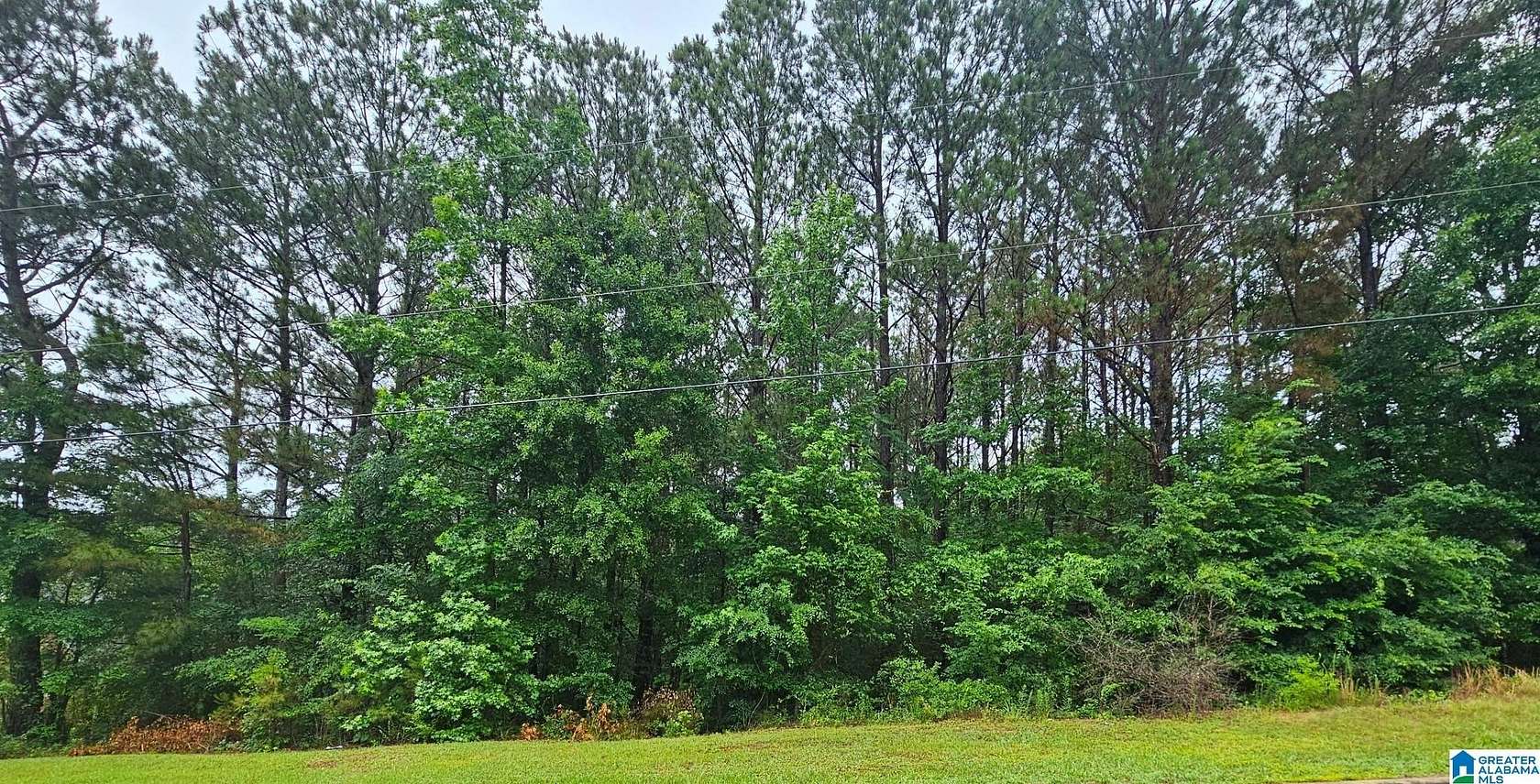 0.8 Acres of Residential Land for Sale in Oneonta, Alabama