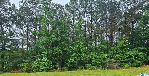 0.8 Acres of Residential Land for Sale in Oneonta, Alabama
