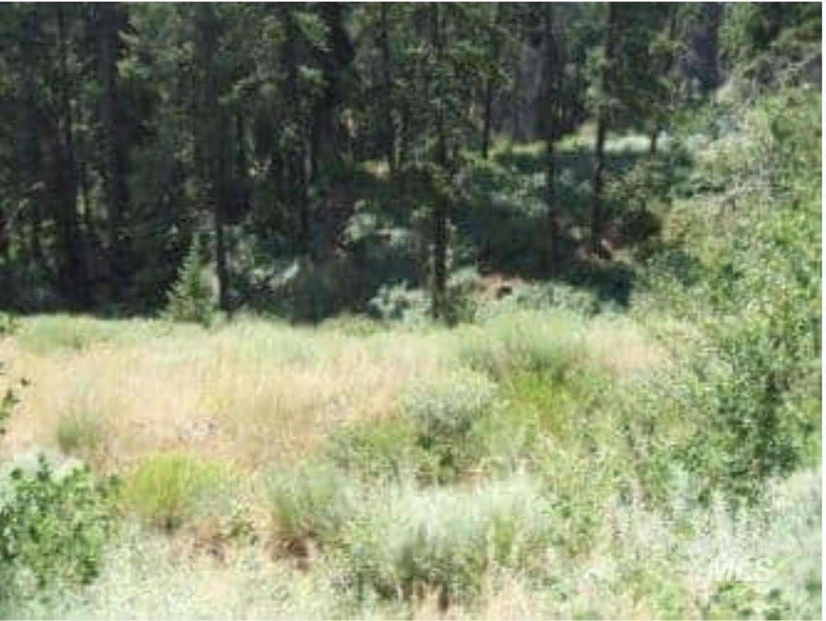 1.59 Acres of Residential Land for Sale in Boise, Idaho