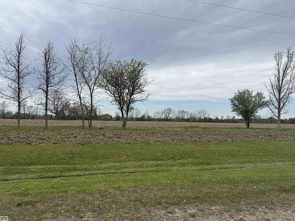 10 Acres of Residential Land for Sale in Imlay City, Michigan