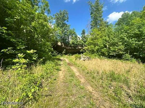 19.1 Acres of Recreational & Residential Land for Sale in Crawford, Tennessee