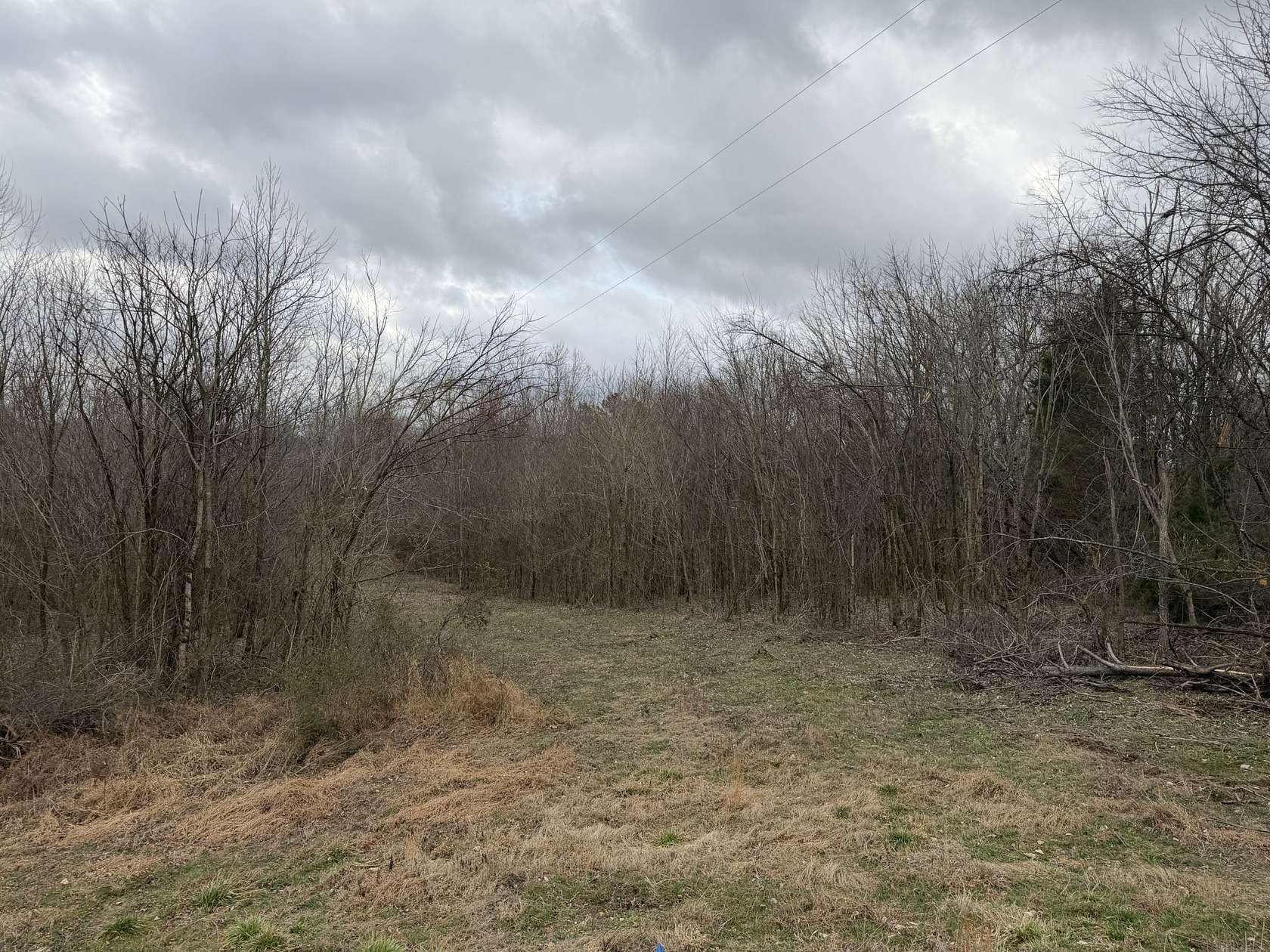 8.59 Acres of Residential Land for Sale in Westmoreland, Tennessee
